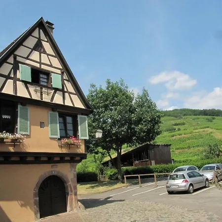 Appartement 1ed-face Vosges-au Sud-coeur Vignoble-calme-wifi By Interhome